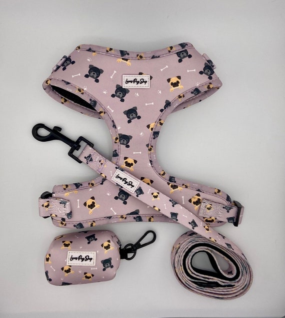 A pug's top life harness