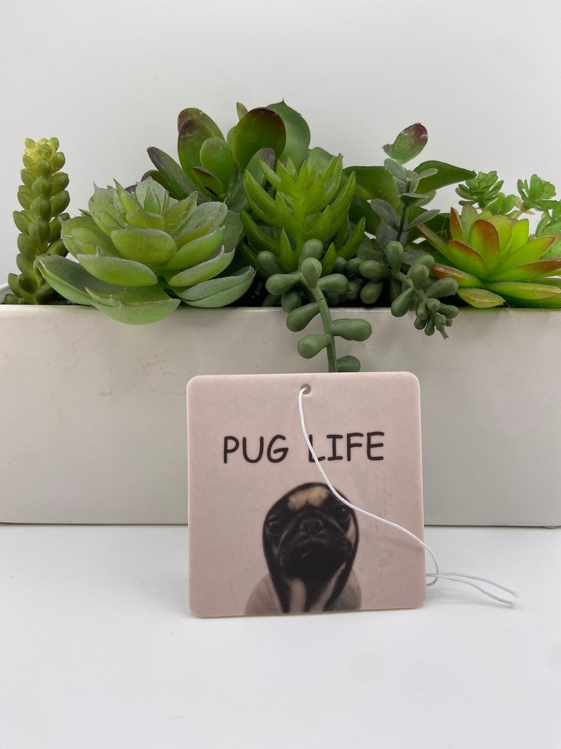 Pu&ograve; includere: Un profumatore per auto quadrato bianco con sfondo rosa e un'immagine di un carlino. Il testo "PUG LIFE" &egrave; stampato in lettere nere nella parte superiore del profumatore.
