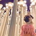 LunasPugShop