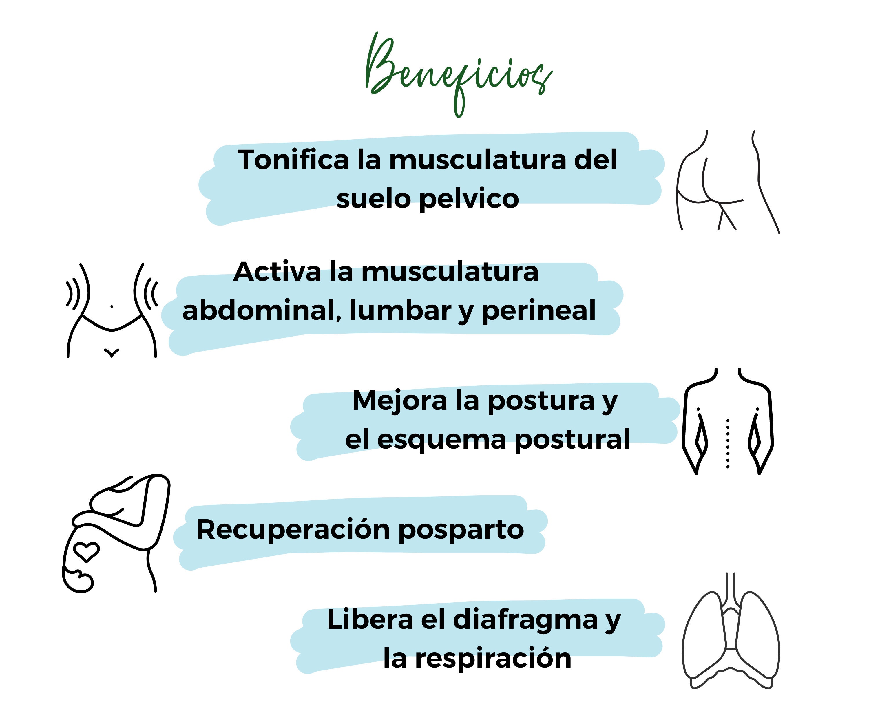 SOKIP Chile - 🔸El tronco de eutonía o método 5p es un método propioceptivo  para tratar los músculos perineales y las disfunciones del suelo pélvico a  través de la postura🚶 🔸Se utiliza