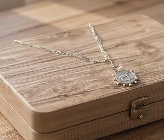 French Horse Coin Necklace • Vintage Equestrian Jewelry • Crystal Quartz Connector (32" Chain)