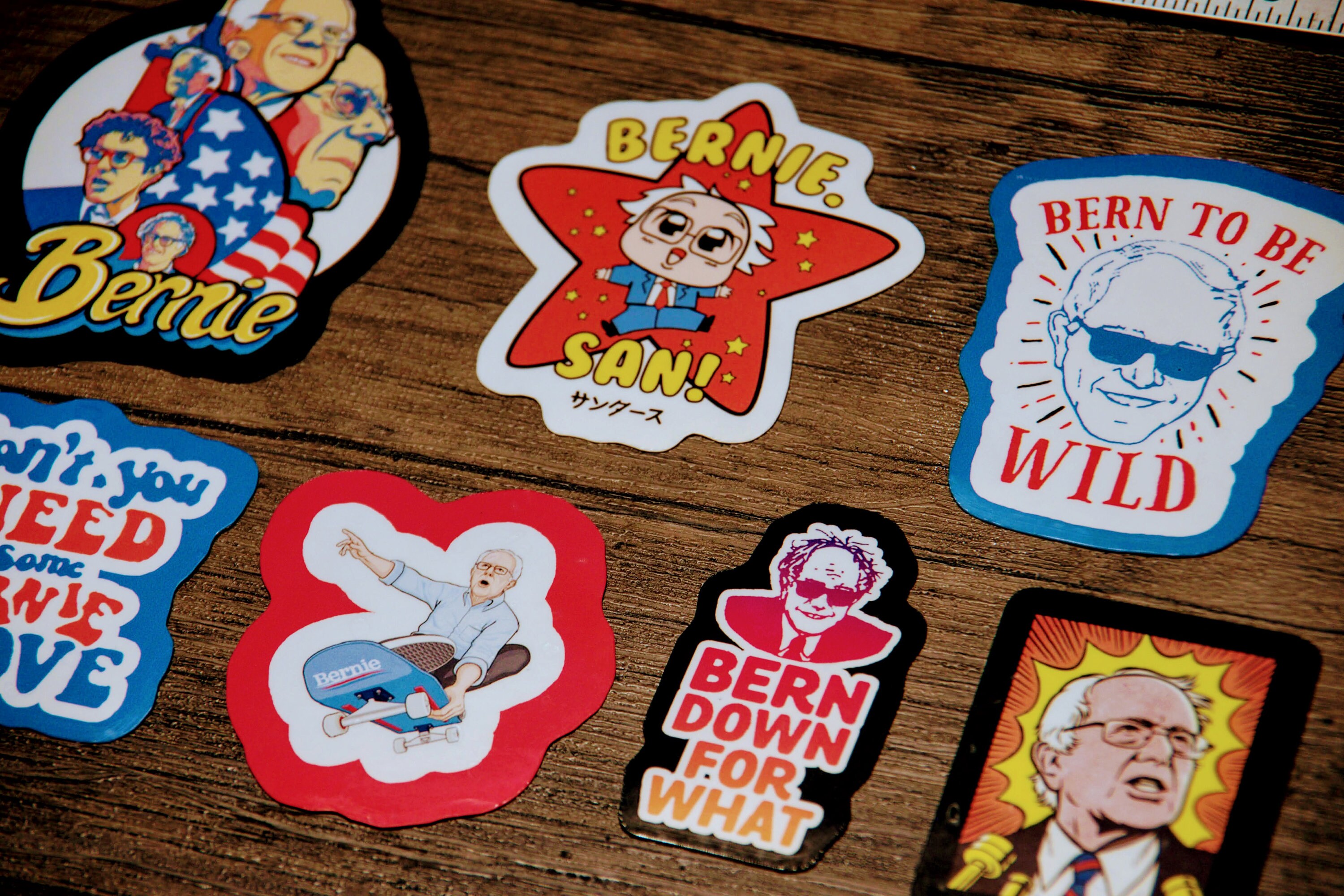 BERNIE - Vinyl Sticker Party Pack - Etsy