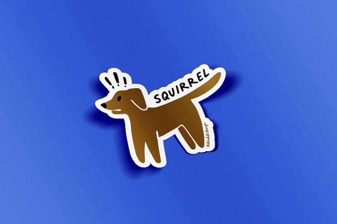 Dog Squirrel Sticker - Etsy
