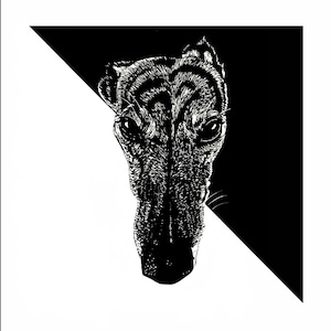 Brindle greyhound portrait - fine art print, signed by the artist