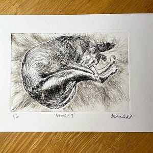 Drypoint etching Greyhound, Sighthound ‘Prawn’ -limited edition signed