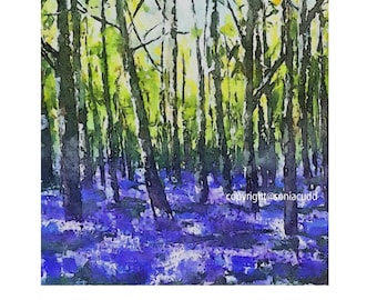 Bluebell Woods - fine art print, signed by the artist