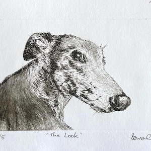 Drypoint etching Greyhound, Galgo -limited edition signed