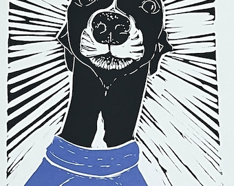 Sighthound limited edition signed original lino print - Star Gaze Bluebell