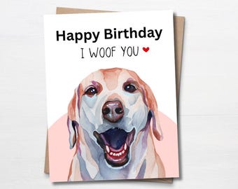 Chiot Labrador Retriever - CHIOT De La Mare De L’Oraille