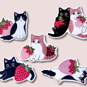 Lot de 5 autocollants en vinyle, chat fraises, autocollants pour agenda, ordinateur portable, bouteille d'eau, téléphone, cottagecore, fraise, autocollant fruit, amoureux des chats
