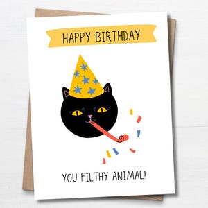 Carte d'anniversaire drôle de chat, carte pour amoureux des chats, chat noir, carte d'anniversaire pour ami, carte d'anniversaire pour lui, jeu de mots carte d'anniversaire, animal sale
