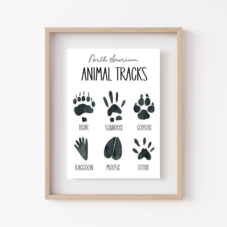 Animal Tracks Poster Animal Tracks Print for Woodland - Etsy