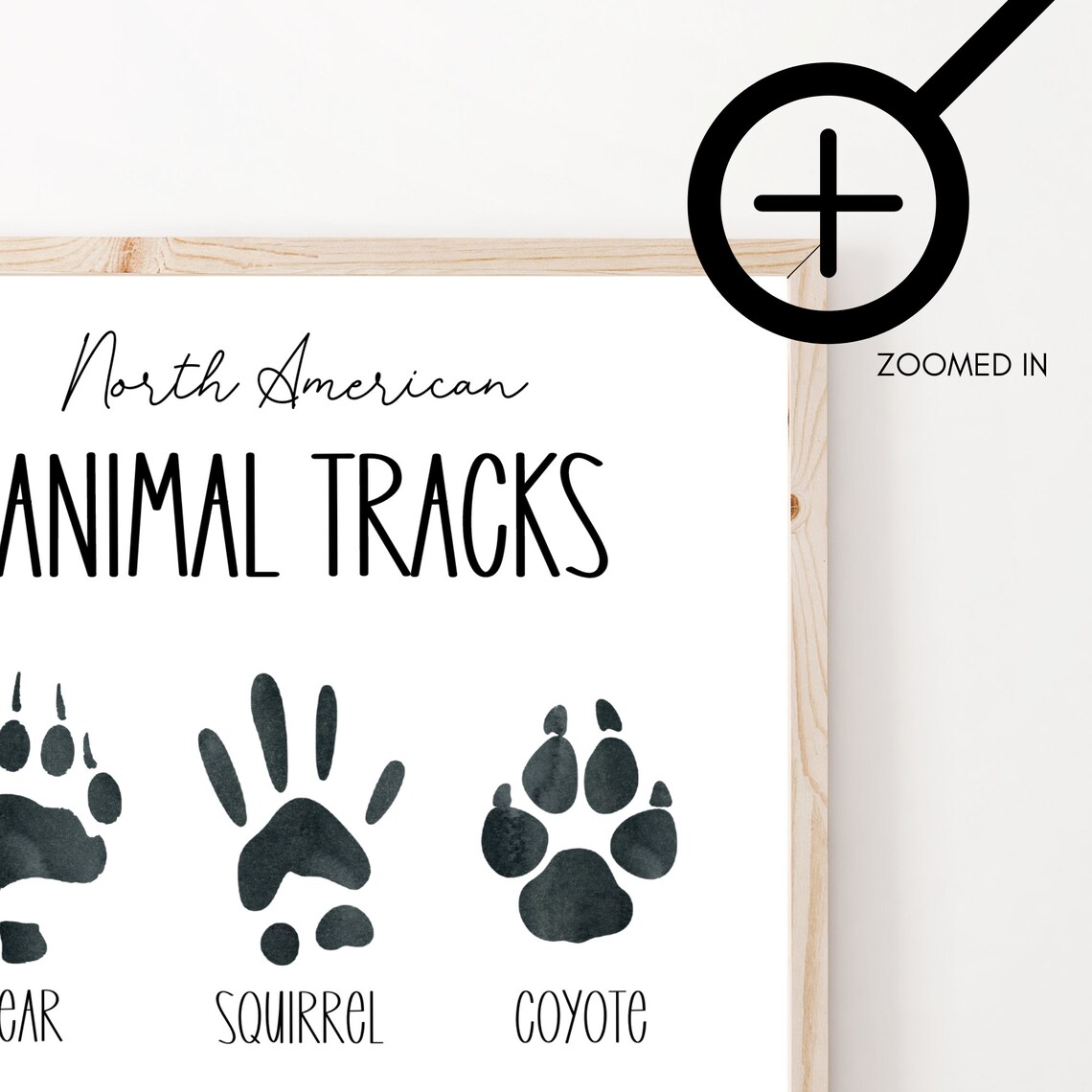 Animal Tracks Poster Animal Tracks Print for Woodland - Etsy