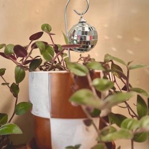 May include: A small silver disco ball ornament hangs from a curved metal hook inserted into a plant pot. The pot features a checkered pattern of white and brown squares. A trailing green and purple plant grows out of the ceramic container.