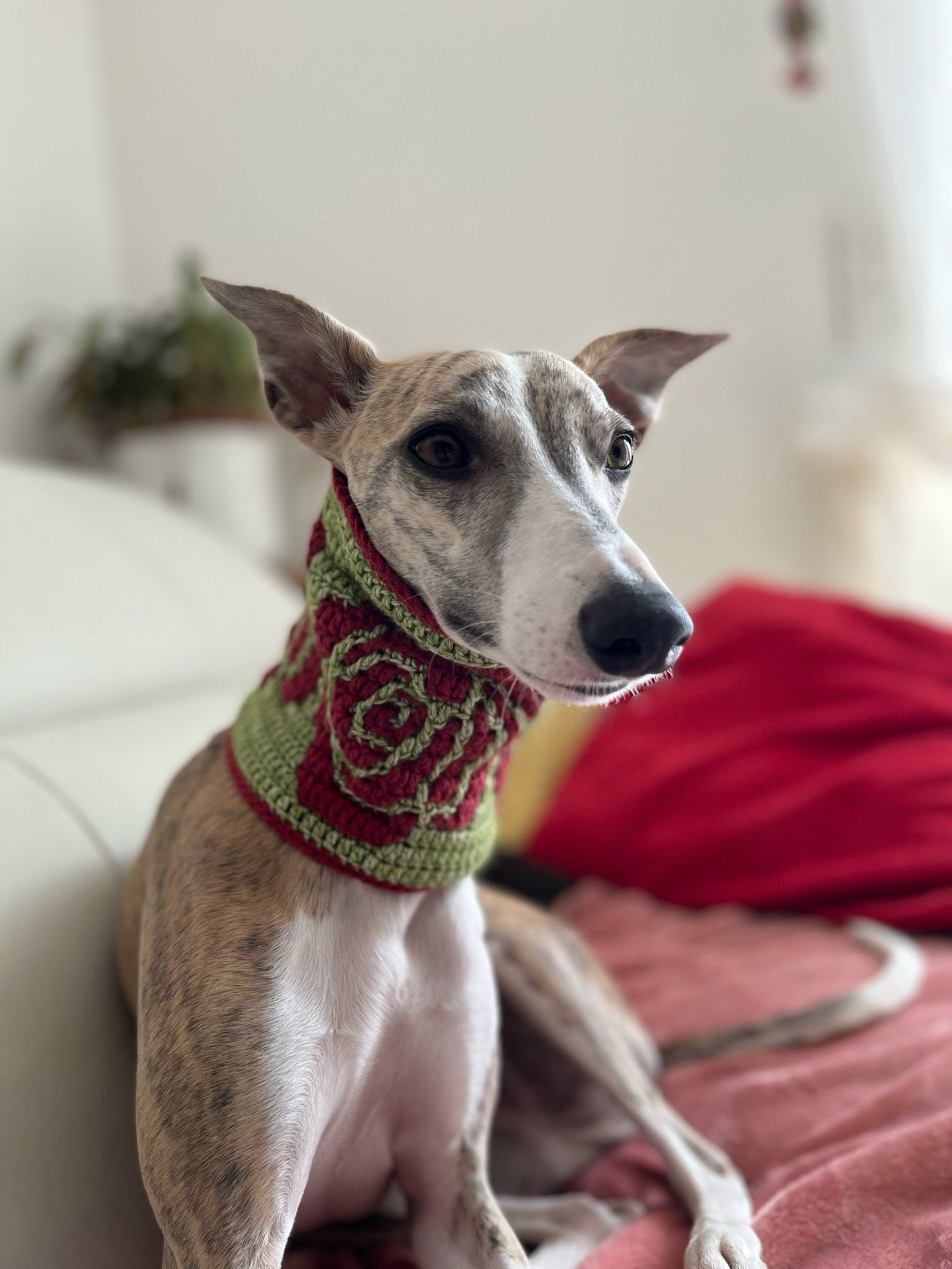 Tour de Cou Pour Chien Motif Rose, sur Mesure, Grand Choix Couleurs, Snood Lévrier Greyhound Galgo W