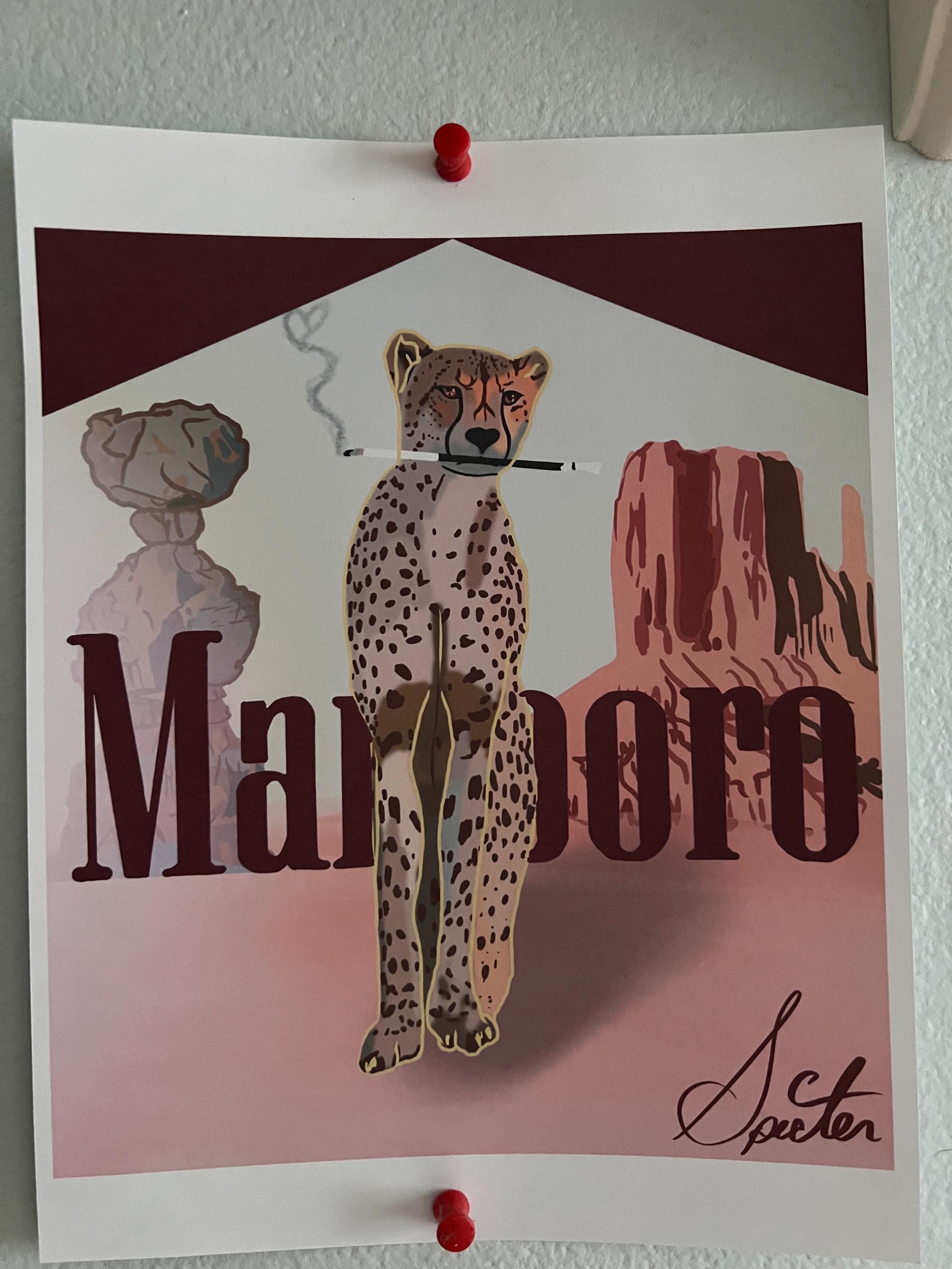 thumbnail image 2 of VINTAGE TOBACCO CIGARETTES 1991 MARLBORO WILD WEST PLAYING CARDS 2 of 9
