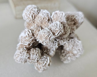 Peut inclure: Un groupe de cristaux de rose de sélénite blancs et beiges. Les cristaux sont regroupés en une formation naturelle.