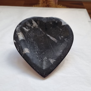 Orthoceras Fossil Dish- Fossilised Squid - Heart plate 10cm
