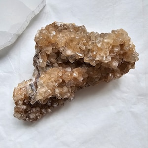 Dent de chien en grappe de calcite 490 g