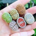 Live Plant-5/10 LARGE Lithops (0.8’’)|Flowering, Rare Succulents, Living Stones