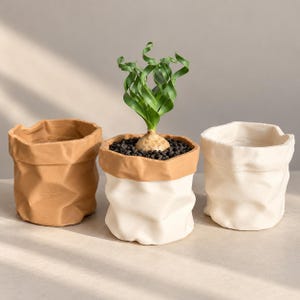 May include: Three cylindrical planters with a crinkled paper bag texture. One is tan, one is white, and the center planter is white with a tan rim, containing a green spiral-leafed plant with a bulbous base set in black soil.