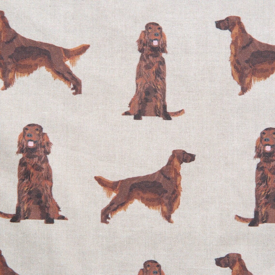 Irish Setter Dog Collar Bandana Collar no incluido Etsy España