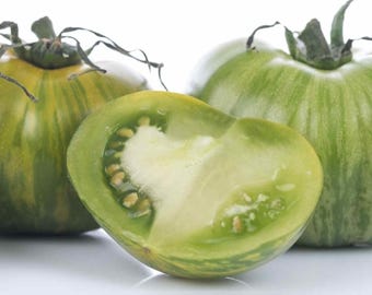 Tomate cebra verde, planta viva, maceta de 4"