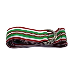 Women&#39;s Red and Green Christmas Striped Ribbon Belt with Gold or Silver Hardware