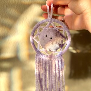 May include: A lavender dreamcatcher with a plush, star-shaped center and dangling fringe. The dreamcatcher is held up by a loop of the same material. The soft, pastel colors and textures create a whimsical and comforting aesthetic.