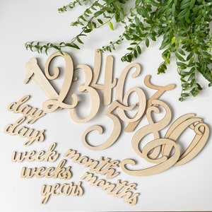 Cartes d'étape en bois, 20 pièces, ensemble de disques de cartes d'étape en bois, cadeau de bébé, douche de bébé, étape mensuelle, grossesse, happyname