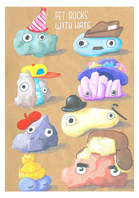 Pet Rocks Cartoon