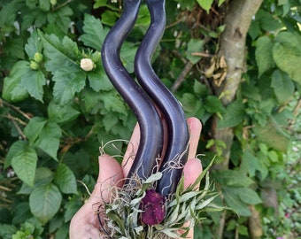 Black Snake Altar Candles: Hecate Ritual, Witchy Decor