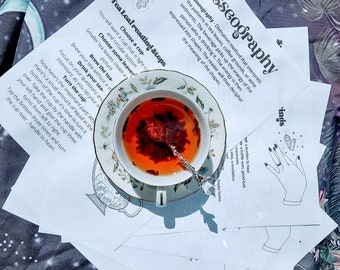 Guía de Tasseografía: Símbolos y significados de la lectura de las hojas de té (Descarga PDF)