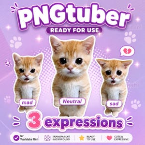 Puede incluir: Gráfico promocional para un PNGtuber, que presenta tres gatitos atigrados naranjas con diferentes expresiones: enfadado, neutral y triste. El texto "PNGtuber" y "3 expressions" son prominentes, con texto adicional que indica que el producto está listo para usar y es compatible con Veadotube Mini.