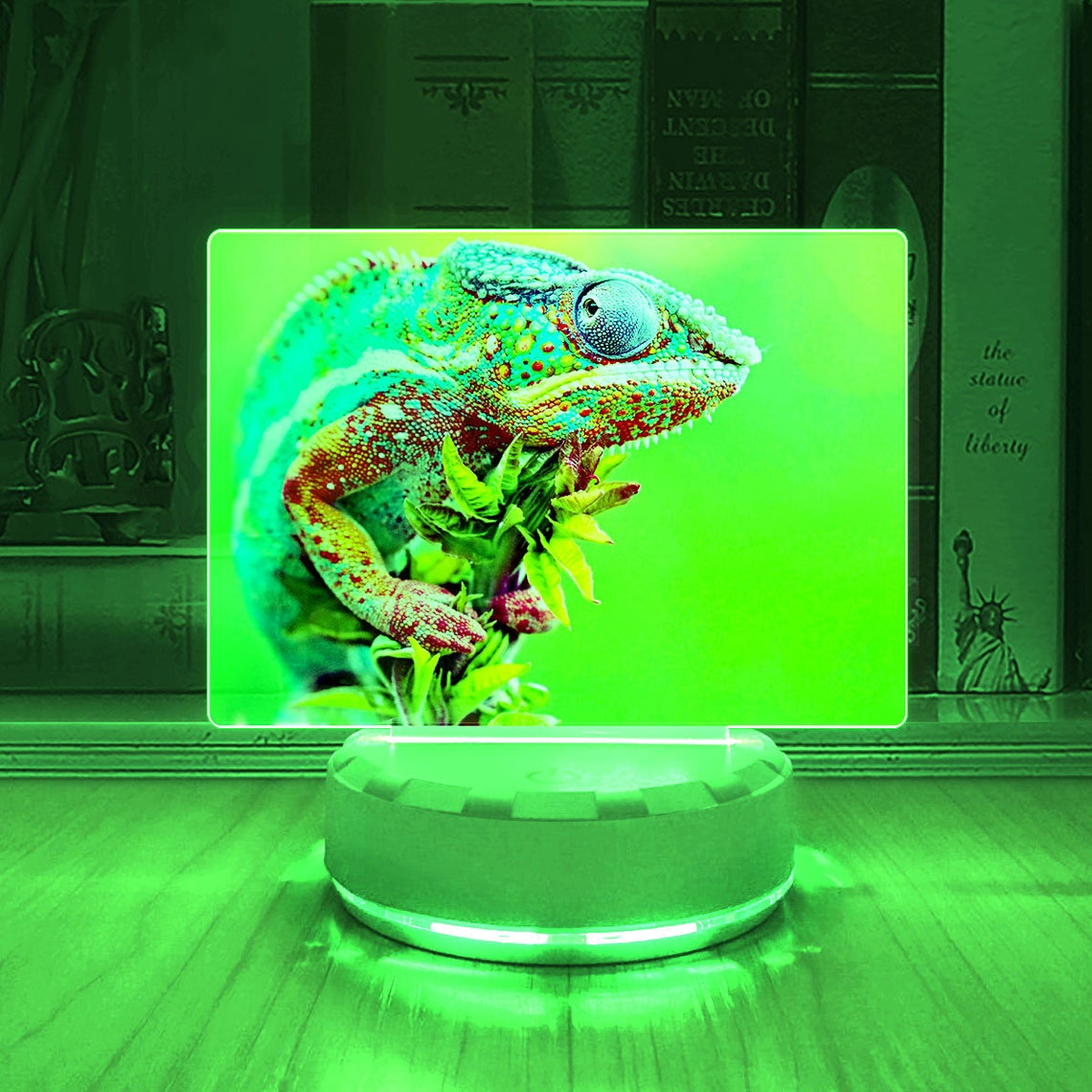 Animal Chameleon LED Desk Lamp Colorful Lizard Spectral Etsy