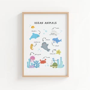 May include: A framed print titled "Ocean Animals" features colorful illustrations of marine life, including a dolphin, seahorse, whale, shark, and starfish. The artwork includes the names of each animal and is set against a white background.