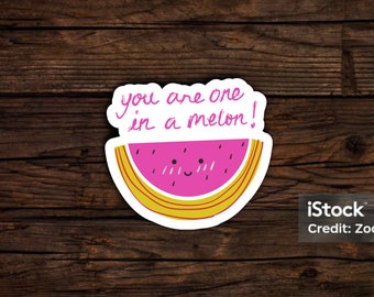 You are one in a melon sticker, cute sticker, fruit sticker, fun stickers, decals, laptop stickers, water bottle stickers, stickers