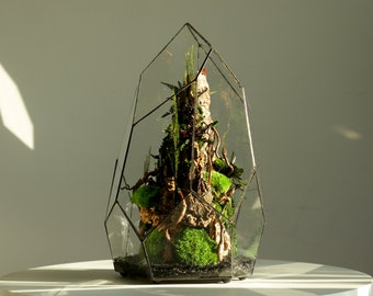 Emerald - Exotic Geometric Terrarium | Preserved Moss Art
