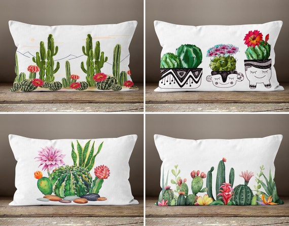 monstera buschiger Trendige XXL Bropflanzen kaufen  Green Me Up