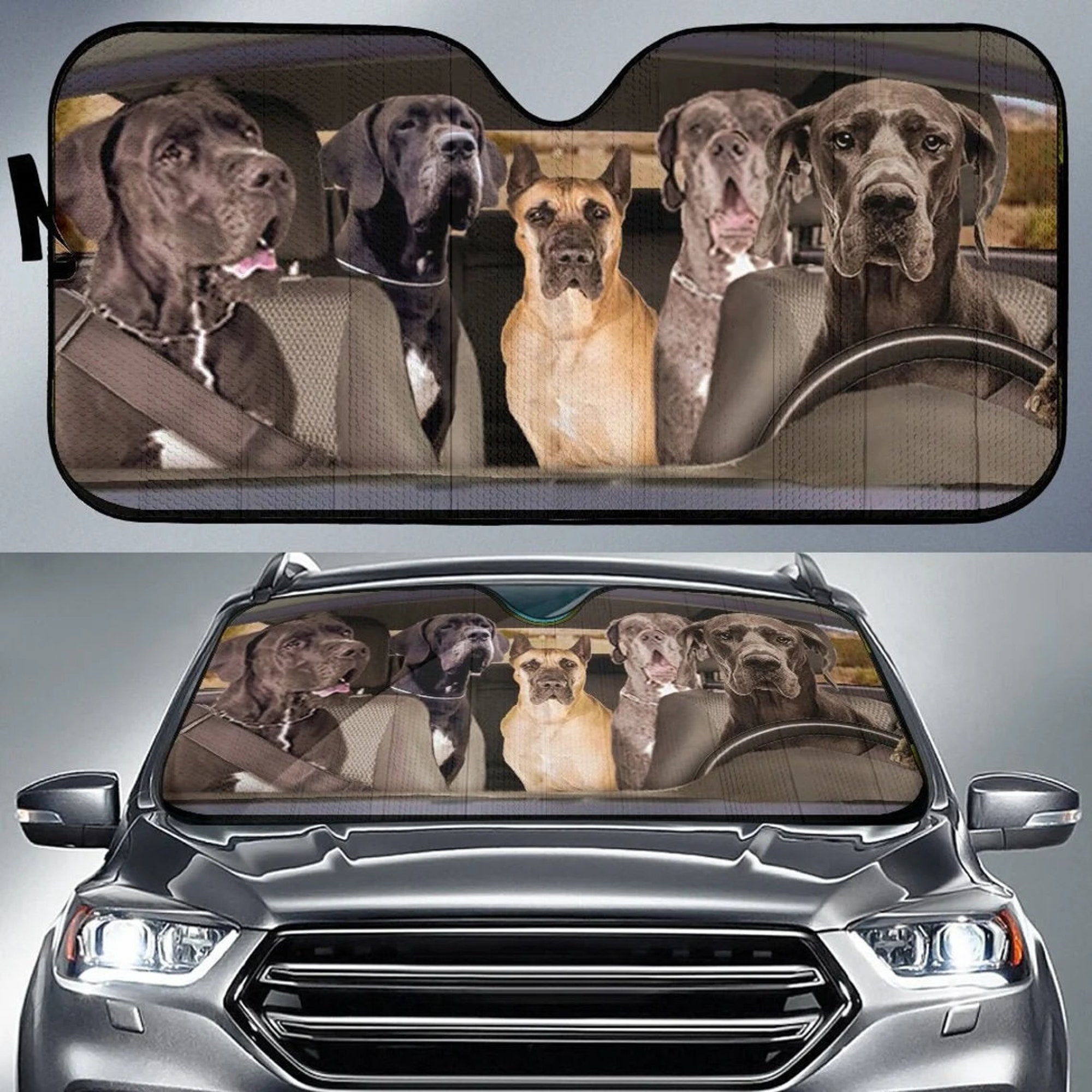 Great Dane Dogs 5 Auto Sun Shade, Dog Design, Car Sun Shade