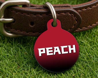 Custom Dog Collar Tag – Atlanta Gameday Style, Red Gridiron Edition, Double Sided Round Pet Tag
