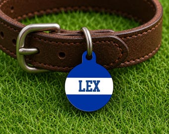 Placa de identificación personalizada para collar de perro – Estilo Lexington Game Day, placa azul edición Campus (redonda)