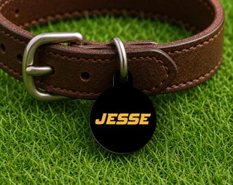 Placa de identificación personalizada para collar de perro – Estilo Columbia Game Day, placa negra edición Campus (redonda)