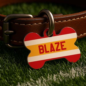 K&ouml;nnte beinhalten: Ein knochenf&ouml;rmiger Hundeanh&auml;nger mit dem Namen "BLAZE" in roten Buchstaben. Der Anh&auml;nger hat einen roten Rand, wei&szlig;e Streifen und eine gelbe Mitte. Er h&auml;ngt an einem braunen Lederhalsband mit einem silbernen Metallverschluss.