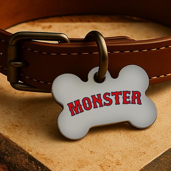 Aangepaste halsbandhanger – Boston Game Day-stijl, grijze diamanteditie, dubbelzijdig huisdierpenning