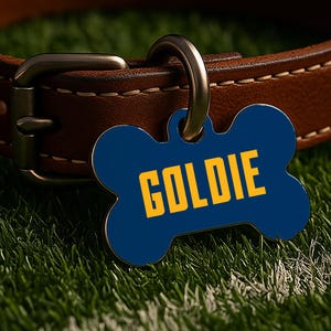 May include: A blue, bone-shaped pet tag with the name "GOLDIE" in yellow lettering. The tag is attached to a brown leather dog collar with a silver metal clasp. The background is green.