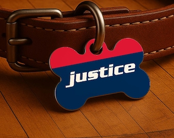 Custom Dog Collar Tag – Washington Game Day Style, Blue Courtside Edition, Double Sided Pet Tag