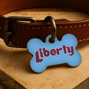 May include: A light blue, bone-shaped pet tag with the name "Liberty" in burgundy script. The tag is attached to a brown leather dog collar with a metal clasp. The background is a textured, tan surface.