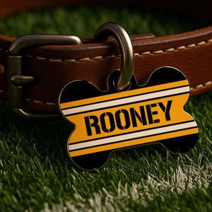 May include: A bone-shaped dog tag with the name "ROONEY" in black letters on a yellow background, accented with black and white stripes. The tag is attached to a brown leather dog collar.