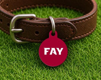 Placa de identificación personalizada para collar de perro – Estilo Fayetteville Game Day, placa roja edición Campus (redonda)
